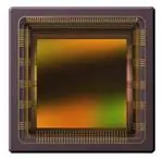 CMV4000-3E5M1PP 图像传感器 Area Scan Sensor 4MP; Mono